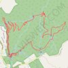 Warrie Circuit - Springbrook National Park GPS track, route, trail