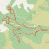 Kinnitty Forest MTB Loop GPS track, route, trail